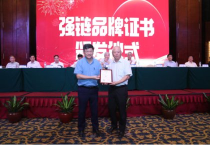 登榜！298手游网站入选首批船舶工业“强链品牌”